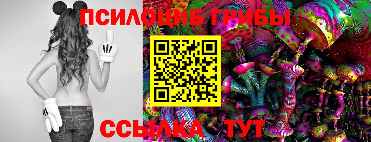 Псилоцибиновые грибы мухоморы  Вход с VPN  Красноуфимск 